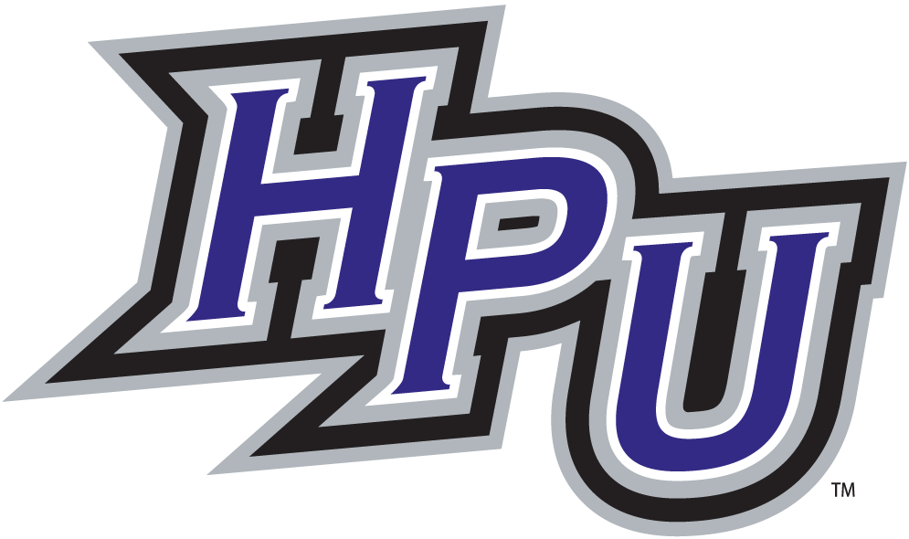 High Point Panthers 2004-Pres Alternate Logo v2 diy iron on heat transfer...